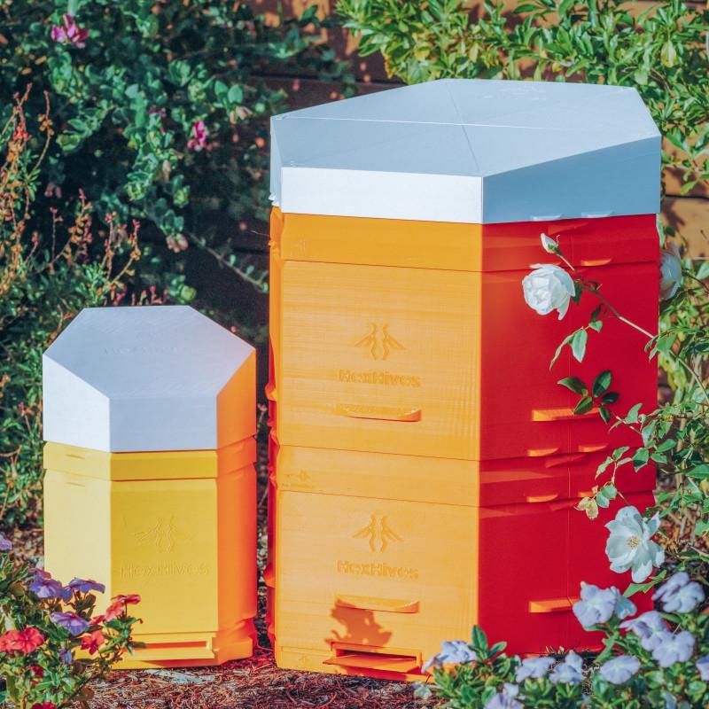 HexHives 3D Printed Bee Hive - Complete Starter Kit