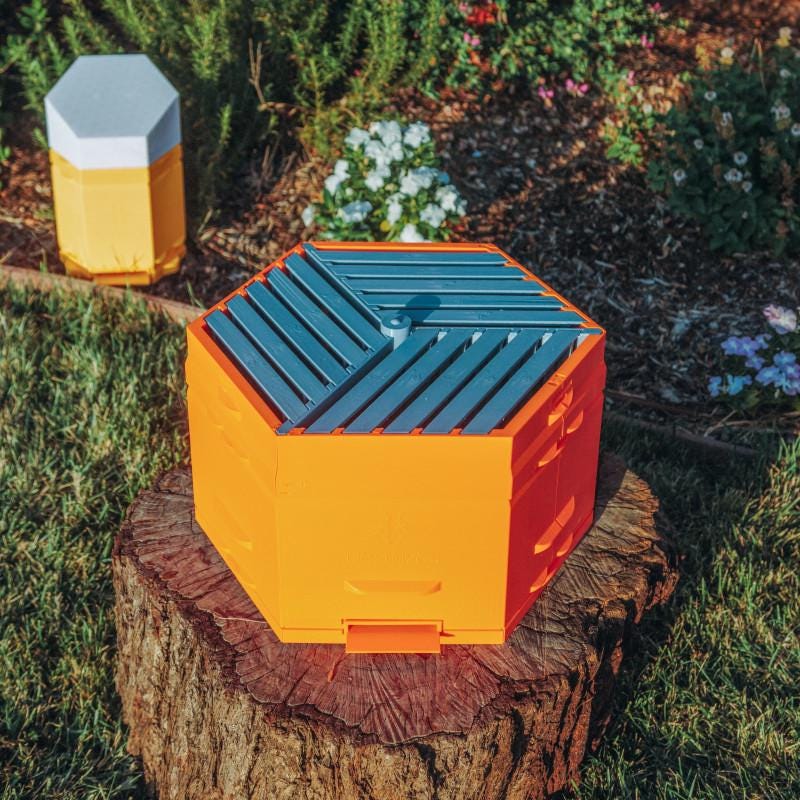 HexHives 3D Printed Bee Hive - Complete Starter Kit