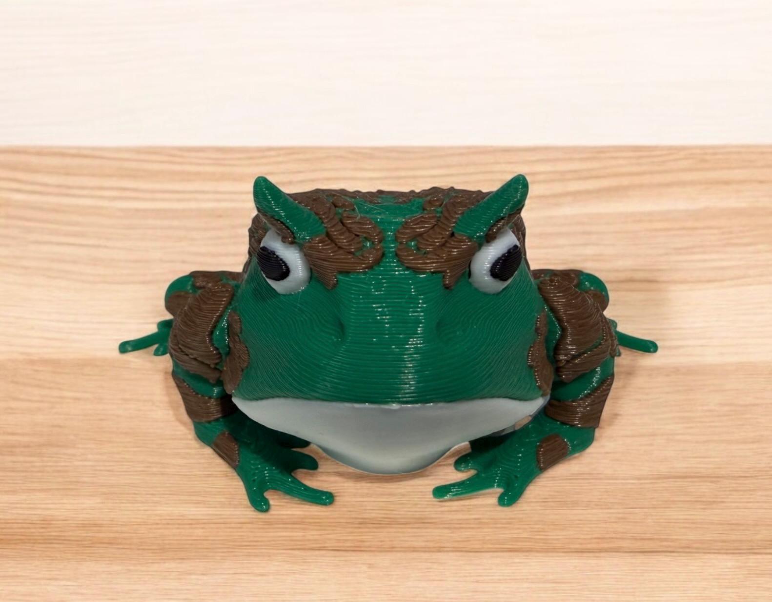 Katie & Harold – Adorable 3D Printed Articulated Frogs | Fidget Toy | Desk Animal